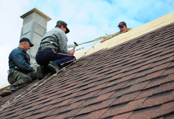 Gutter Installation and Roofing in Anniston, AL